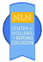 A blue and gold award badge from the Center for Excellence in Nursing Education